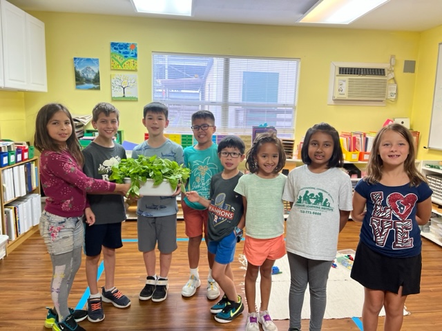 student studying on summer