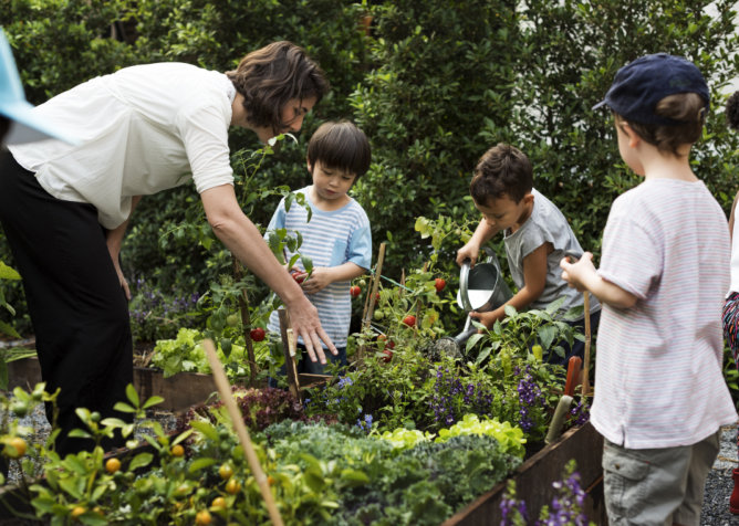 the-role-of-nature-in-montessori-child-development