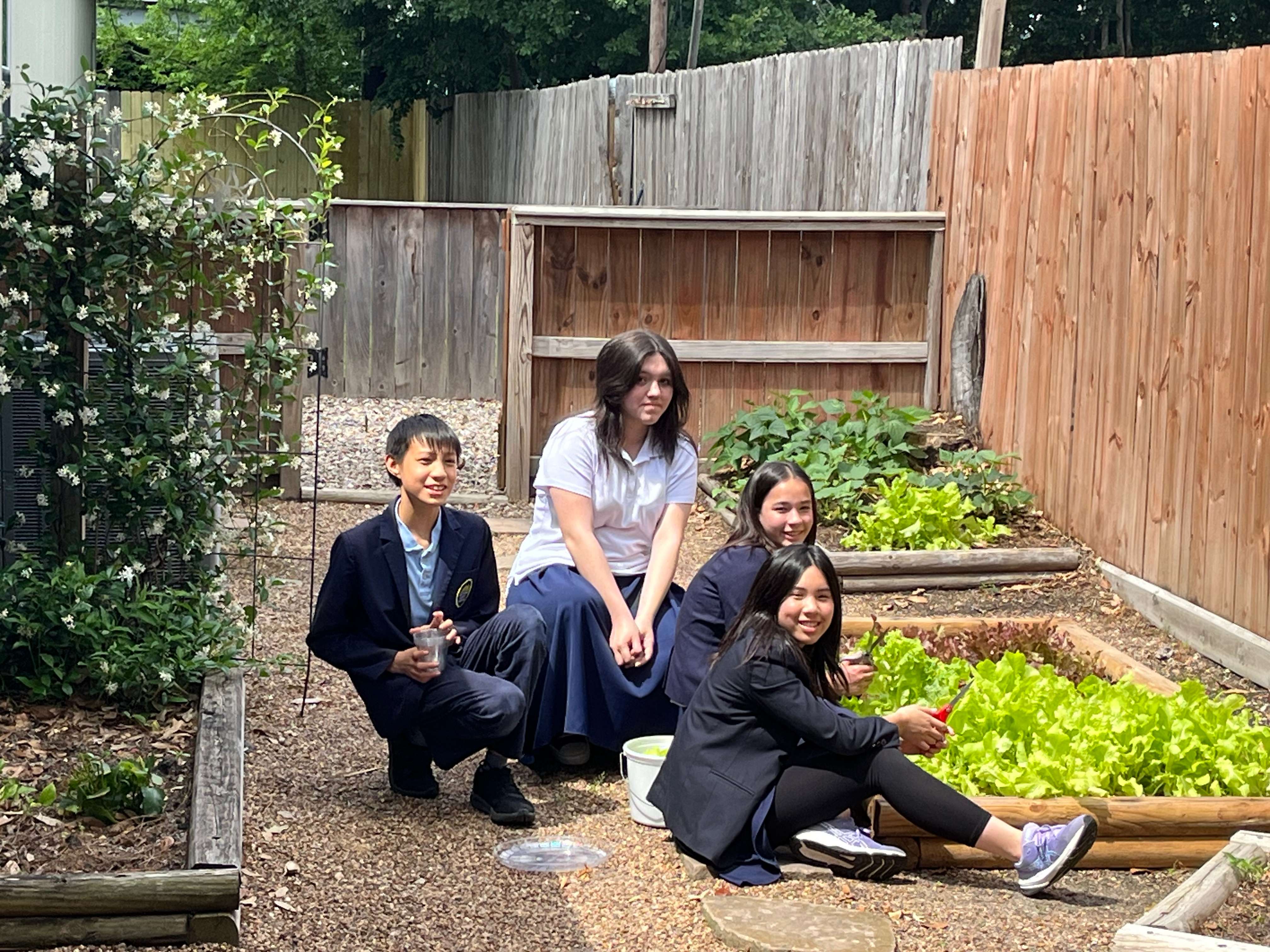 gardening image